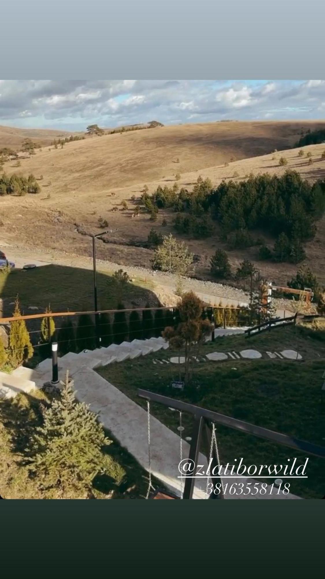 Wild * Zlatibor