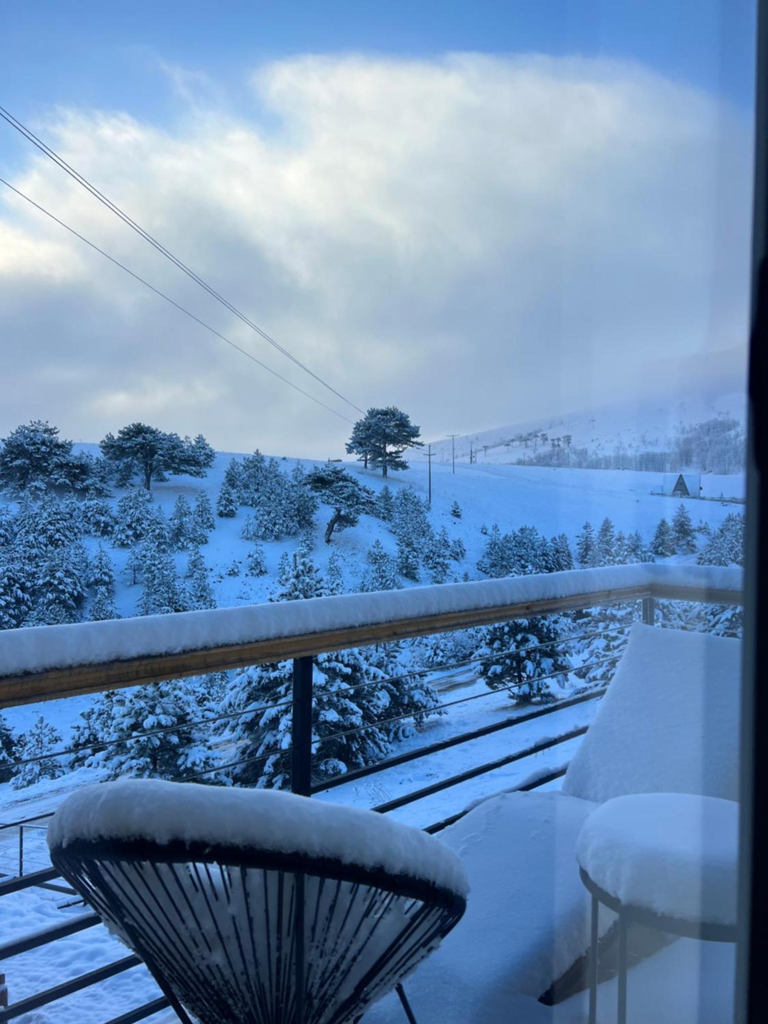 Wild * Zlatibor